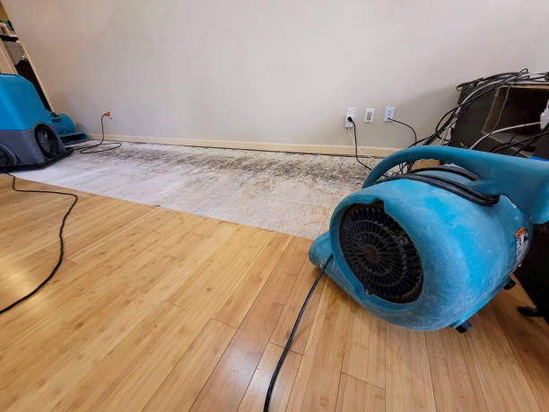 Professional Basement Flood Cleanup technician working in Kokomo, MS